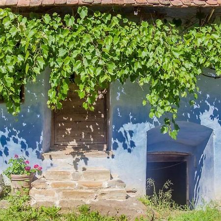 Experience Transylvania Viscri 63B Dış mekan fotoğraf